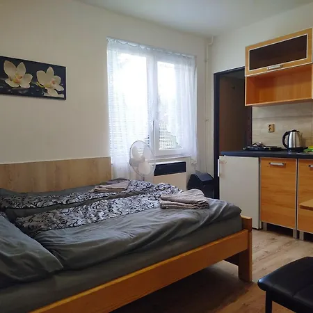 Areal Pauli 5* Česká Skalice