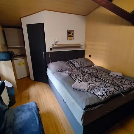 Areal Pauli Konukevi Česká Skalice