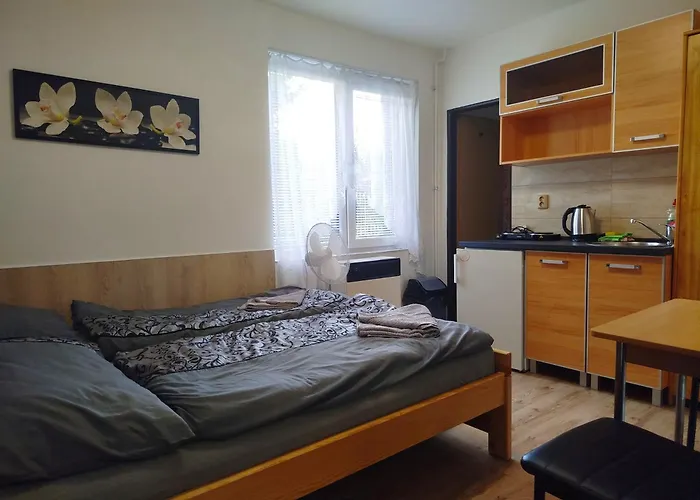 Areal Pauli 5* Ческа-Скалице